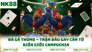 Đá Gà Thomo - Trận Đấu Gay Cấn Từ Biên Giới Campuchia